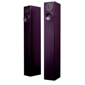 Colunas de Som de Chão Totem Acoustic Arro
