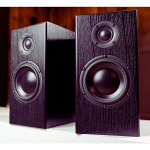 Colunas de Som de Suporte Totem Acoustic Bison Monitor