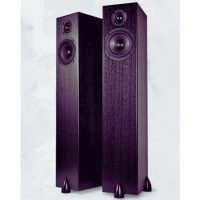 Colunas de Som de Chão Totem Acoustic Bison Tower