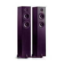 Colunas de Som de Chão Totem Acoustic Bison Twin Tower
