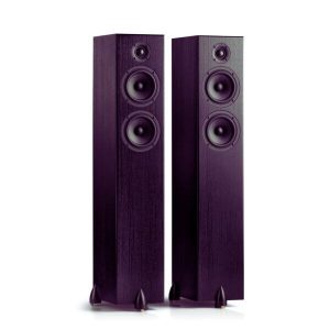 Colunas de Som de Chão Totem Acoustic Bison Twin Tower