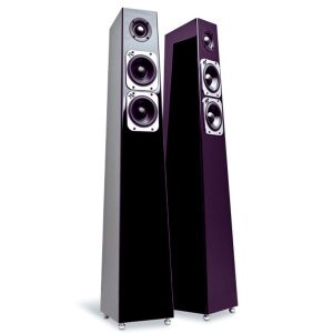 Colunas de Chão Totem Acoustic Tribe Tower Brilhante