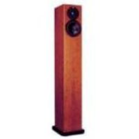 totem-acoustic-arro-1