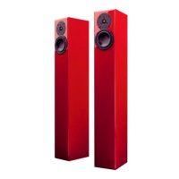 totem-acoustic-arro-2