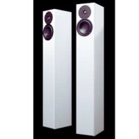 totem-acoustic-arro-3