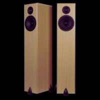 totem-acoustic-bison-1