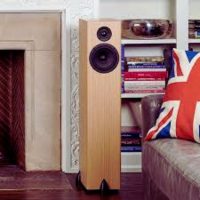 totem-acoustic-bison-2