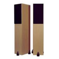 totem-acoustic-bison-3