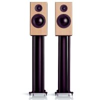 totem-acoustic-bison-monitor-1