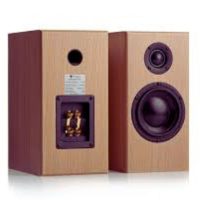 totem-acoustic-bison-monitor-3