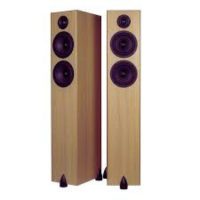 totem-acoustic-bison-twin-1