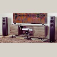 totem-acoustic-bison-twin-2