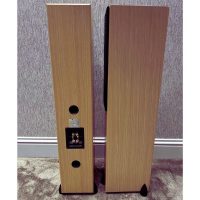 totem-acoustic-bison-twin-3