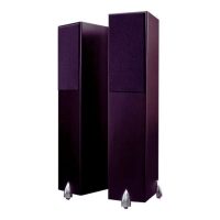 totem-acoustic-forest-3