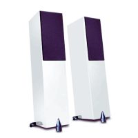 totem-acoustic-forest-signature-1