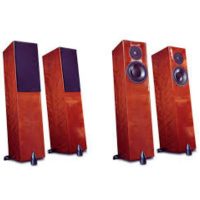 totem-acoustic-forest-signature-3
