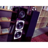 totem-acoustic-tribe-toer-gloss-2