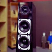 totem-acoustic-tribe-tower-gloss-1