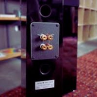 totem-acoustic-tribe-tower-gloss-3