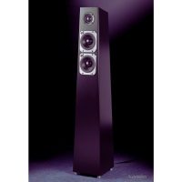 totem-acoustic-tribe-tower-mate-2